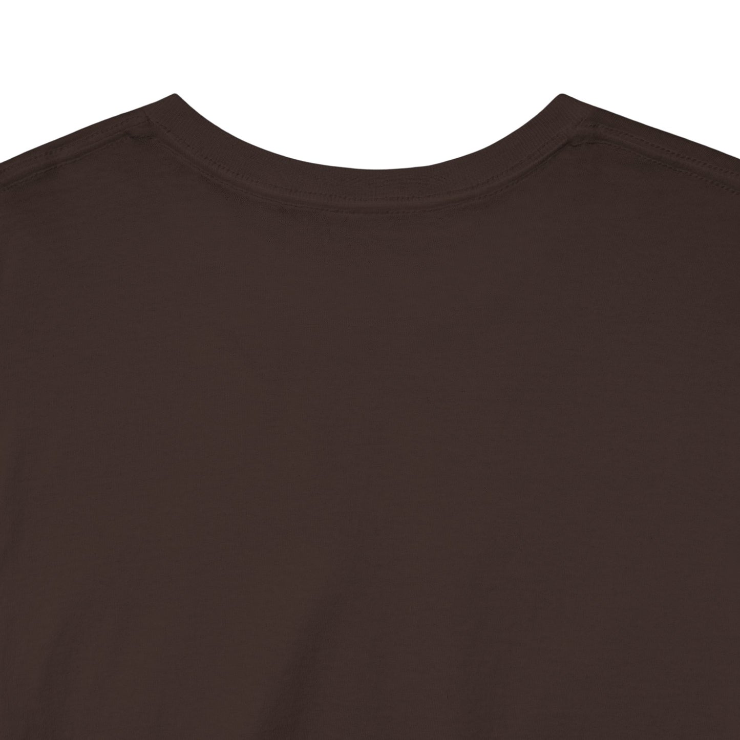 Time Reveals All. Unisex Heavy Cotton Philosophical Statement T-Shirt